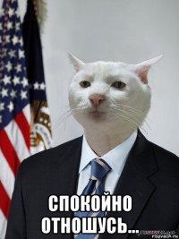  спокойно отношусь...