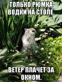 только рюмка водки на столе. ветер плачет за окном.