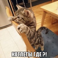  котлеты где ?!