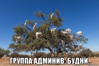  группа админив. будни.