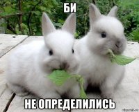 би не определились