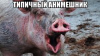типичный анимешник 