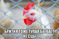  бритня тоже тупая бывает, не сцы