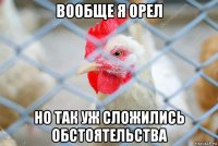 вообще я орел но так уж сложились обстоятельства