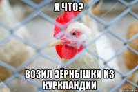 а что? возил зёрнышки из куркландии