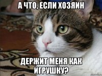 а что, если хозяин держит меня как игрушку?
