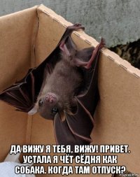  да вижу я тебя, вижу! привет. устала я чёт сёдня как собака. когда там отпуск?