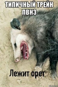 типичный трейн пвнз 