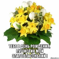 тебе в день рождения, пушистик мой златовласенький !
