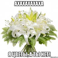 ахахахахаха я цветы, а ты нет!