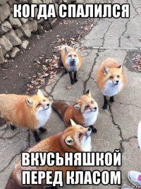 когда спалился вкусьняшкой перед класом