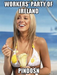 workers' party of ireland pindosn
