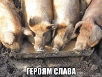  героям слава