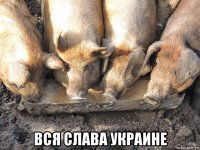  вся слава украине