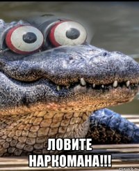  ловите наркомана!!!