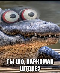  ты шо, наркоман штоле?