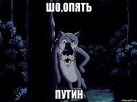 шо,опять путин