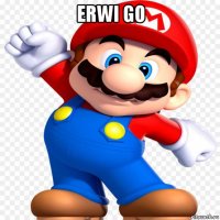 erwi go 