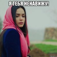 я тебя ненавижу! 