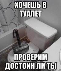 хочешь в туалет проверим достоин ли ты