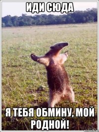 иди сюда я тебя обмину, мой родной!