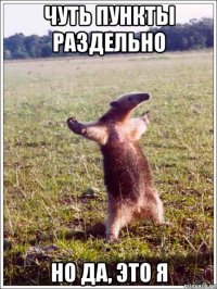 чуть пункты раздельно но да, это я