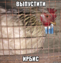выпустити ирбис