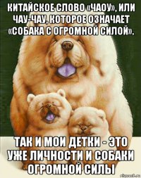 китайское слово «чаоу», или чау-чау, которое означает «собака с огромной силой». так и мои детки - это уже личности и собаки огромной силы