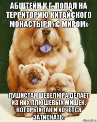 абштейн к.г. попал на территорию китайского монастыря «с миром» пушистая шевелюра делает из них плюшевых мишек, которых так и хочется затискать.