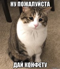 ну пожалуйста дай конфету