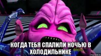  когда тебя спалили ночью в холодильнике