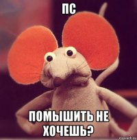 пс помышить не хочешь?