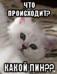 что происходит? какой пин??