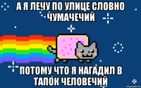 а я лечу по улице словно чумачечий потому что я нагадил в тапок человечий