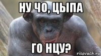 ну чо, цыпа го нцу?