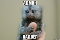 админ надоел