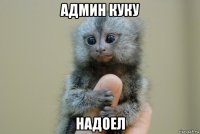админ куку надоел