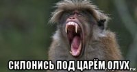  склонись под царём олух