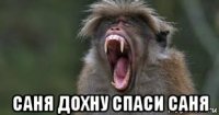  саня дохну спаси саня