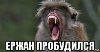  ержан пробудился