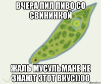 вчера пил пиво со свининкой жаль мусульмане не знают этот вкус))00