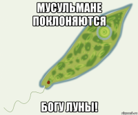 мусульмане поклоняются богу луны!