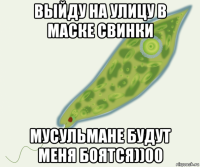 выйду на улицу в маске свинки мусульмане будут меня боятся))00