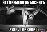 нет времени объяснять хуярь гликолиз