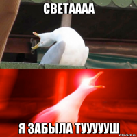 светаааа я забыла туууууш