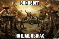 bondsoft на шашлыках