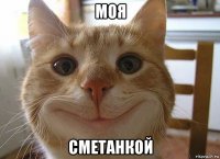 моя сметанкой