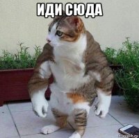 иди сюда 