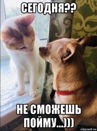 сегодня?? не сможешь пойму...)))