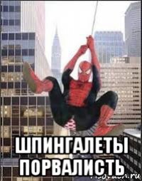  шпингалеты порвалисть